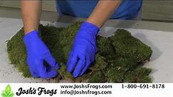 Josh's Frogs Sheet Moss and Mood Moss Care and Uses for Container and Fairy Gardens