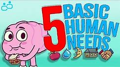 The 5 Basic HUMAN Needs