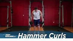 Hammer Curl - Biceps Exercise - Bodybuilding.com