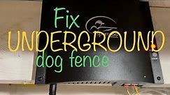 Find break in dog fence wire! Fast and easy