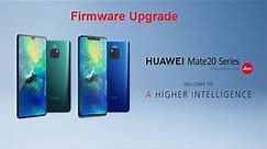 Huawei Mate 20 Pro (EMUI 9.1) Manual Firmware Flashing Tutorial (固件升级教程) Work on P30 Pro too !!