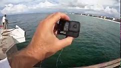 Dropped a gopro under the beach fishing pier! Amazing