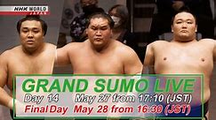 May GRAND SUMO LIVE DAY 14
