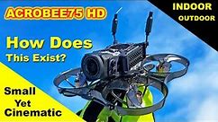Worlds Smallest DJI 03 Tiny Whoop - LOVE it! - ACROBEE75 HD - Review