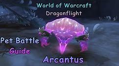 World of Warcraft Dragonflight Pet Battle Guide - Arcantus (Mini Manafiend Melee)