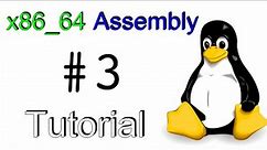x86_64 Linux Assembly #3 - Jumps, Calls, Comparisons