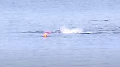 Insane Video Shows Great White Shark Attacking Kayak It Flipped Over, Sailboat Comes To The Rescue