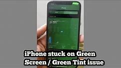 How to Fix iPhone X, 13 Pro Max Stuck on Green?