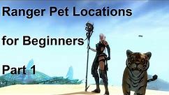 Guild Wars 2 - Ranger Pet Locations for Beginners(Part 1)