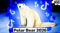 Polar Bear 2026. Creepy Bear meme