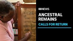 Pacific Islanders want museums to return human remains