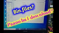 How to download Bin.files