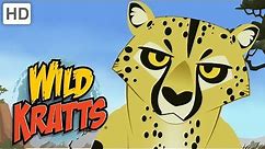 Wild Kratts 🐆🐈🦁 Cool Cats | Kids Videos