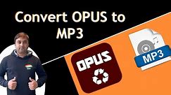 How to Convert OPUS to MP3 | Best OPUS to MP3 Converter