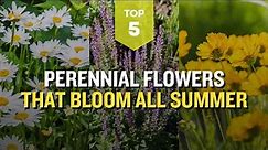 TOP 5 Perennial Flowers That Bloom All Summer 🌸☀️