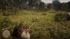 Red Dead Redemption 2 Hunting Animals with Lasso and Knife