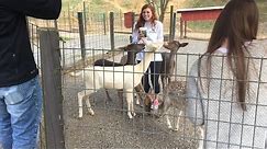 Smoky Mountain Deer Farm and Exotic Animal Petting Zoo