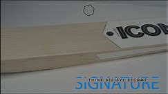 ICON SIGNATURE CRICKET BAT