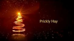 Loreto Prep School Nativity 2019 - Prickly Hay