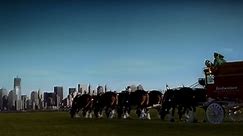 Revisiting the moving Budweiser 9/11 commercial that aired just once