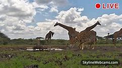 【LIVE】 Webcam en direct ol Donyo Faune - Kenya | SkylineWebcams