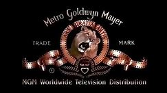 Metro Goldwyn Mayer Worldwide Television Distribution Logo History