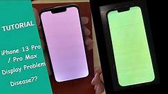 iPhone 13 Pro LCD Bug Fix 【Tutorial】White Green Display Problem