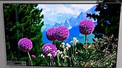 LG OLED65GXPUA 65" OLED HDR 4K UHD w/AI ThinQ Smart TV (2020)