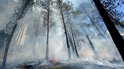 Climate change is making wildfires more severe