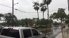 Downpour hits downtown Bradenton. - Bradenton Herald