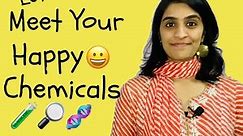 The Brain Chemicals that Make You Happy | Lets Meet Your Happy Chemicals