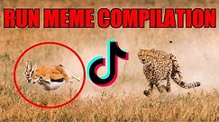 ★Top 10 TikTok "Run Memes" | AwolNation-Run Compilation | Run Meme Compilation ★