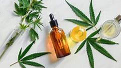 CBD Oil Guide: Benefits, What It Is, Risks (& More) | Holland & Barrett