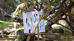 Animal artists? Zoos use paintings as way to raise money for conservation.