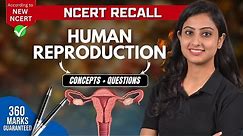 Human Reproduction | Concepts + Questions | NEET Biology | NCERT RECALL | NEET 2024