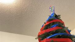 PJ Mask Christmas. Watch me decorate a kid-friendly Christmas tree. #silentnight #christmas #2023#pjmasks #coloradobuffaloes #michagan