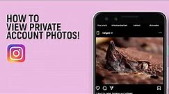 How To View Private Instagram Account Photos Without Following Them [easy]