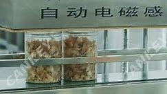 Automatic Dry Fruits Packing Machine