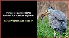 Panasonic Lumix FZ80/82 For Absolute Beginners Part 2: Program auto mode