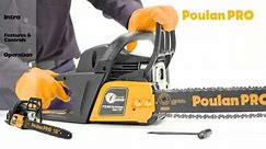 Poulan Pro - Chainsaw Maintenance