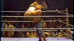 WWF Classic Wrestling 1981 #2