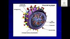 Dr Otmane Microbiologie Orthomyxoviridae