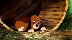 The Fox and the Hound (1981) - Best of Friends