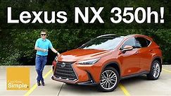 2024 Lexus NX 350h Luxury AWD | Lavish Hybrid Compact SUV