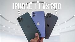 iPhone 11 vs iPhone 11 Pro Max Hands-On