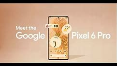 Google Pixel 6 Pro Specifications