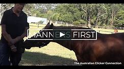 Clicker Training for your Horse: The Mind Body and Soul Series part1