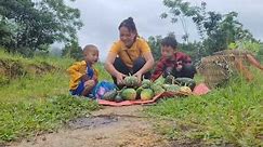 Harvesting pumpkin flowers and fruits to sell and a simple dinner for mother and child.