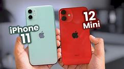 iPhone 12 Mini vs iPhone 11 ¿Cuál Comprar en 2024?