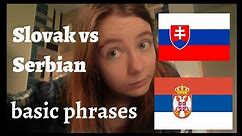 Serbian vs Slovak basic phrases comparison - Learn foreign languages